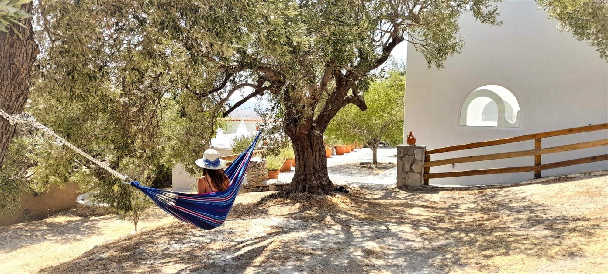 Aspra Chomata Villas Karystos  Buitenkant foto