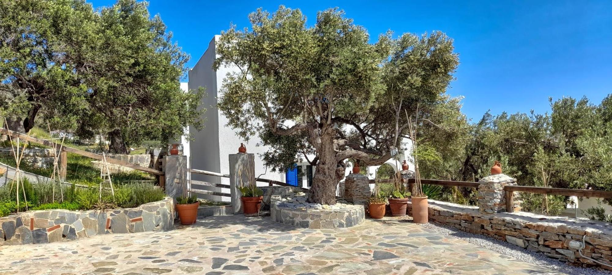 Aspra Chomata Villas Karystos  Buitenkant foto