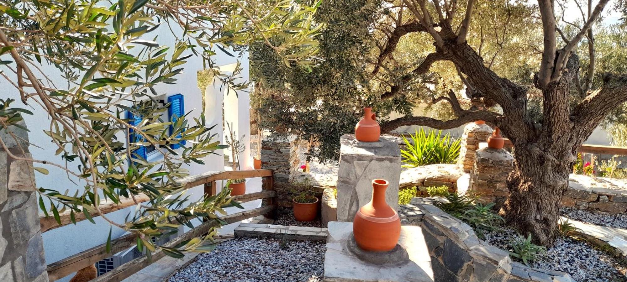 Aspra Chomata Villas Karystos  Buitenkant foto