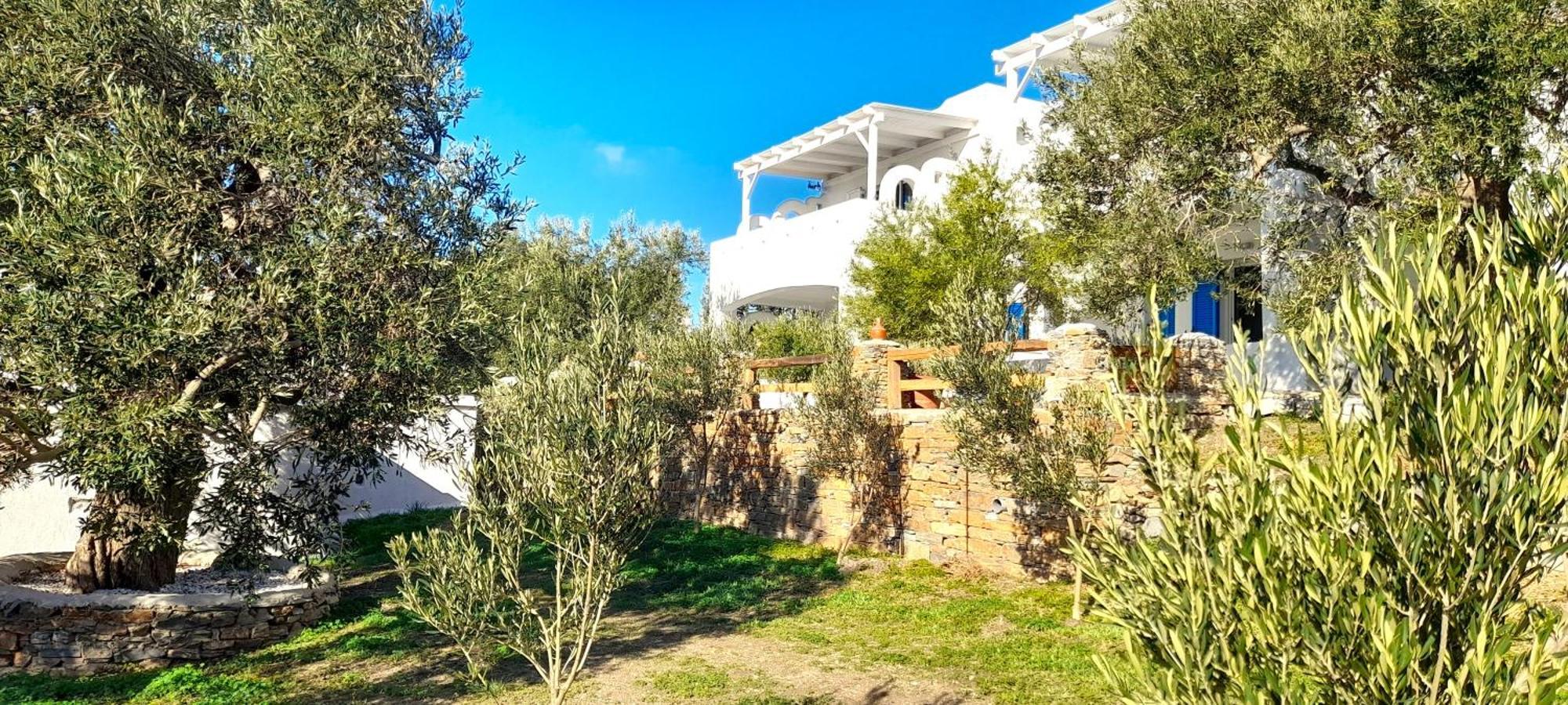 Aspra Chomata Villas Karystos  Buitenkant foto